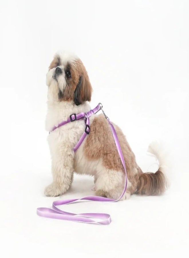 KittuPet Small Dog Harness and Leash Set, No Pull Dog Harness Adjustable Reflective, Dog Vest Harnesses Comfort Padded Handle, Pet Harness for Training Outdoor Walking, 15mm (Purple) - Image 1